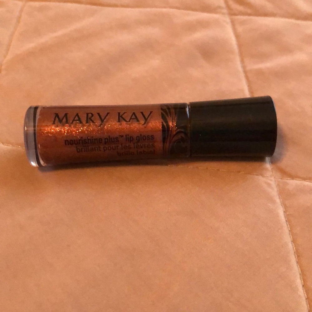 Mary Kay lip gloss- Rich Spice